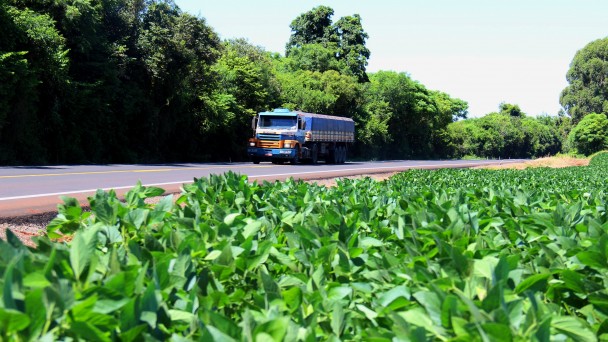A foto destaca, em primeiro plano, uma lavoura de soja quase em ponto de colheita. Ao fundo, uma rodovia com pavimento restaurado, com um caminhão circulando.Às margens, mais ao fundo, vegetação densa, principalmente árvores.